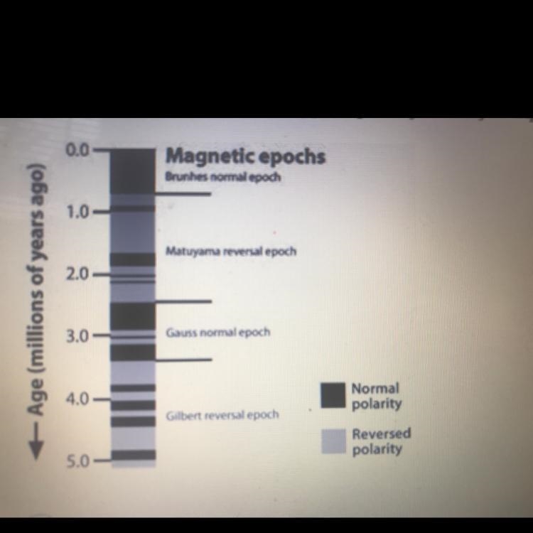 Based on the figure below, what type of polarity would you expect to find in the next-example-1