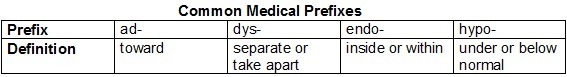 Yvonne made the study chart shown. Which statement describes an error in the chart-example-1