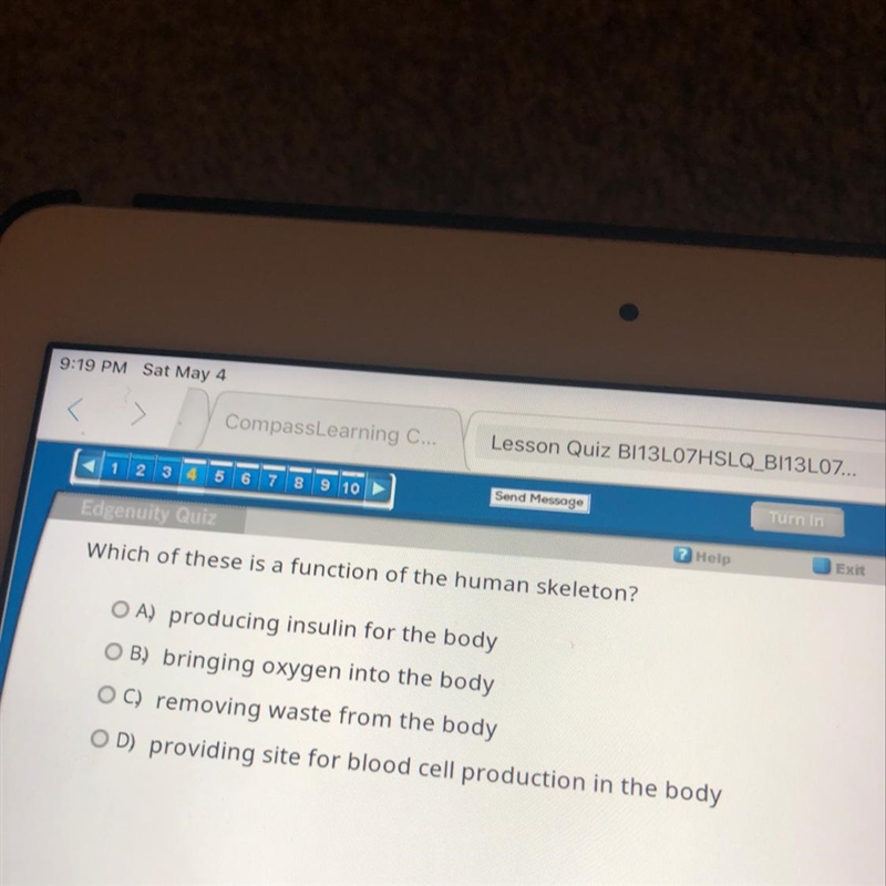 Which of these is a function of the human skeleton-example-1