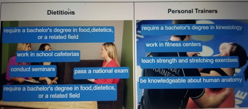 Identify the characteristics of dietitians and personal trainers. (conduct seminars-example-3