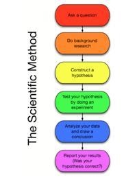 Which shows a correct order of steps in the scientific method? develop a hypothesis-example-1