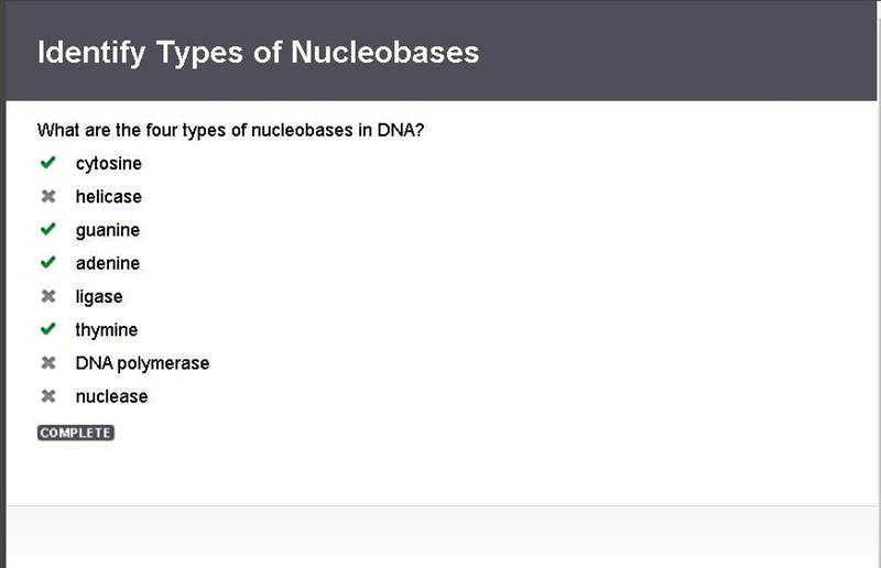 What are the four types of nucleobases in DNA?-example-1