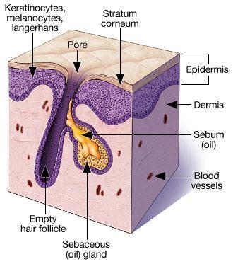 How to take care of the acne skin problems?-example-1