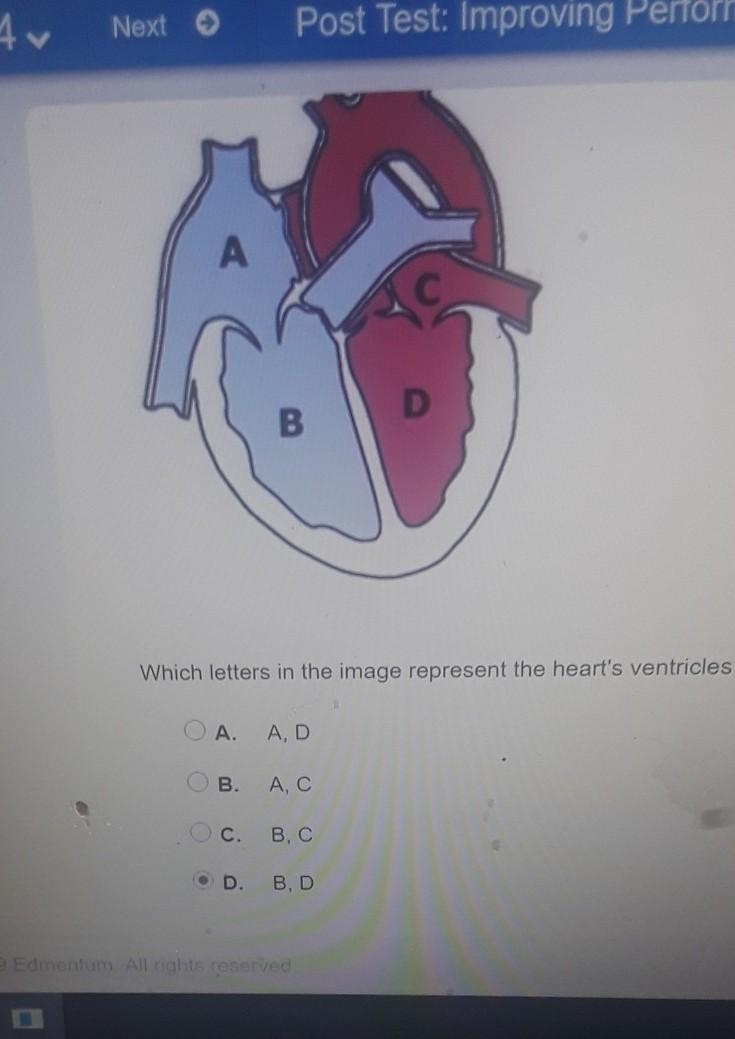 Select the correct answer. Which letters in the image represent the heart's ventricles-example-1