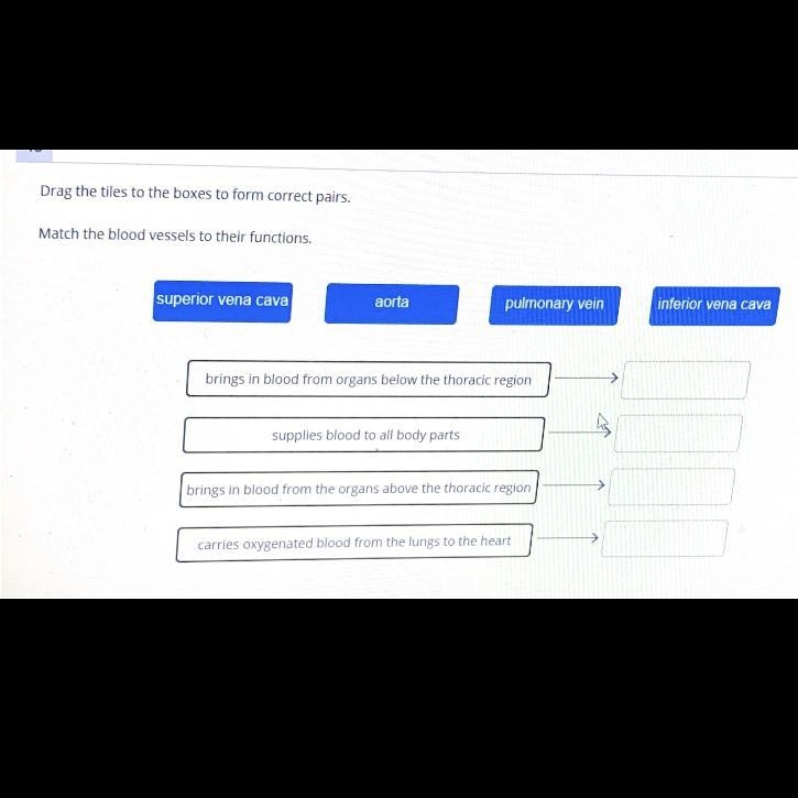 Match the blood vessels to their function-example-1