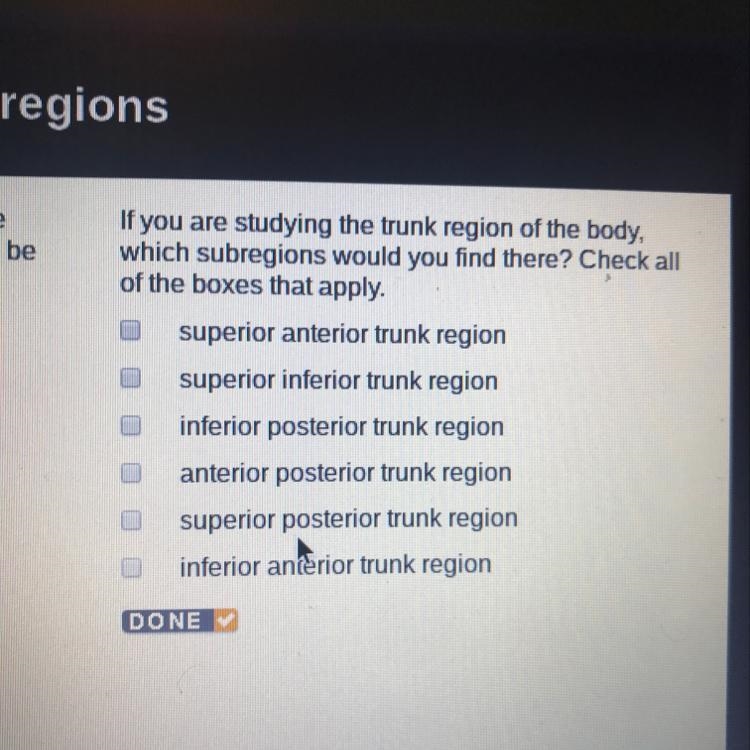 If you are studying the trunk region of the body which subregions would you find there-example-1