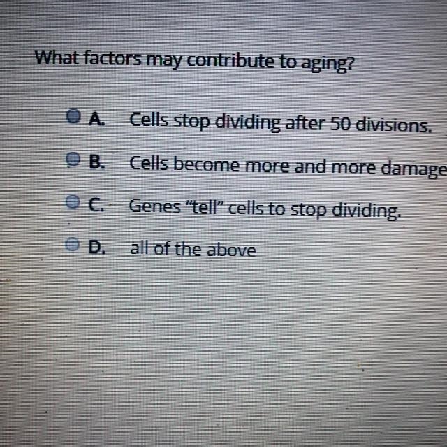 What factors may contribute to aging? CA Celis stop dividing after 50 divisions B-example-1