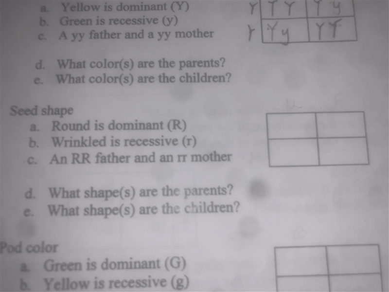 What shapes are the parents-example-1