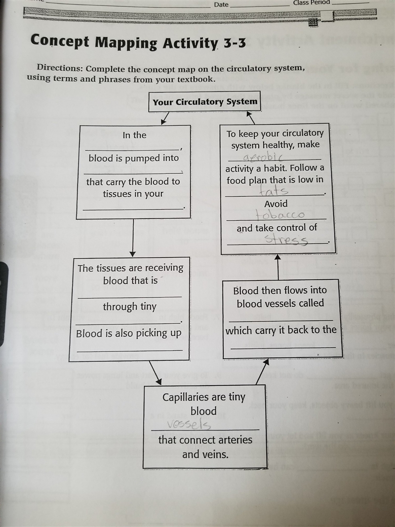 Can anybody please help me fill in these blanks?? thank you so much if u can!-example-1