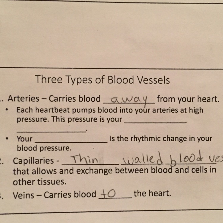 I need to know what to put in the blanks.-example-1