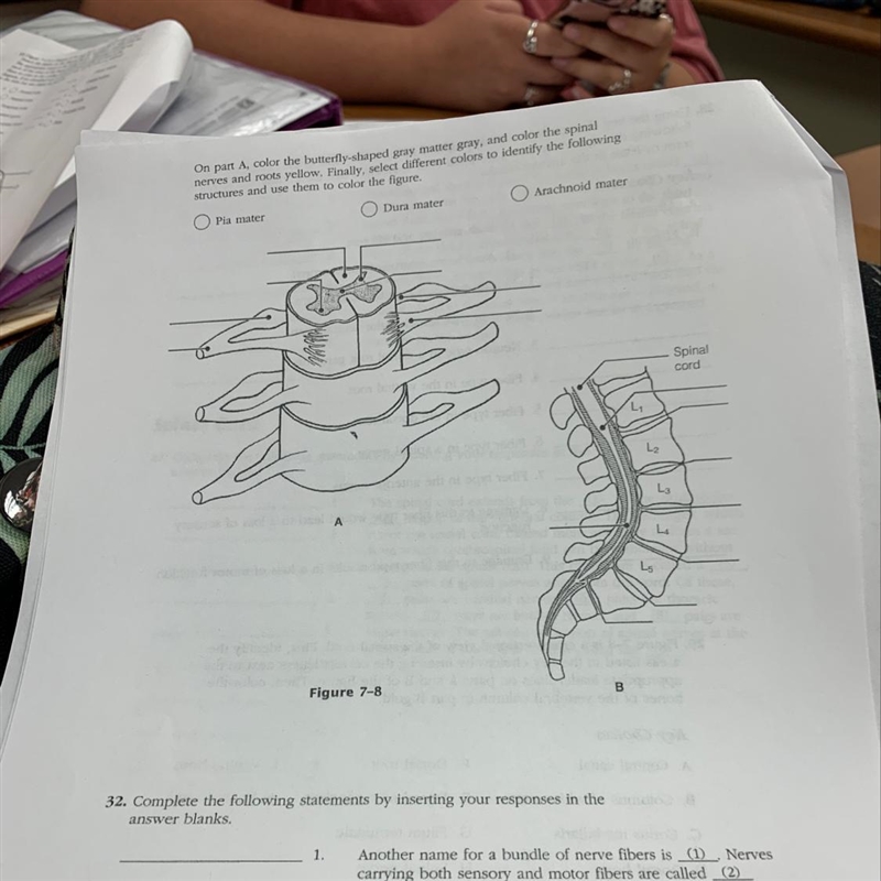 What are the labels and answer-example-1