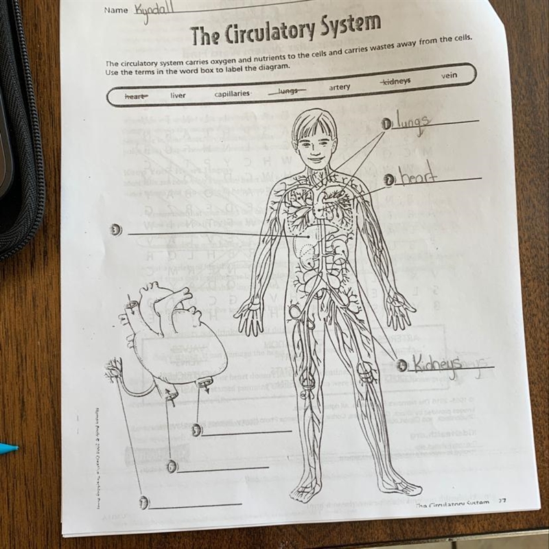 What is the answers pls-example-1