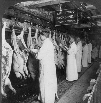 Dorothy worked at a meat packing plant during the 1920s. what would she have been-example-1