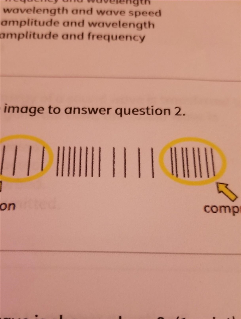 What type of wave is shown above? A. transverse wave B. longitudinal wave C. surface-example-1