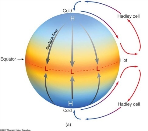 What’s the Hadley cell-example-1