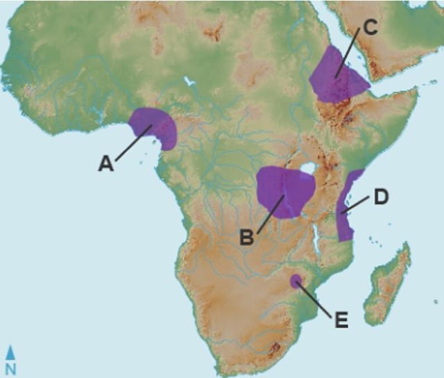 What characteristic do the settlements located at letters B, D, and E on the map share-example-1