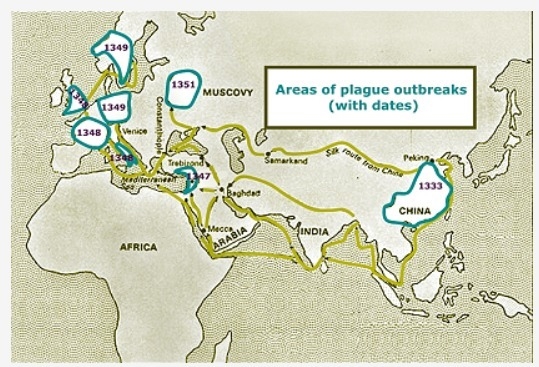 Based on the history of the plague, what do the lines indicated in gold on the map-example-1