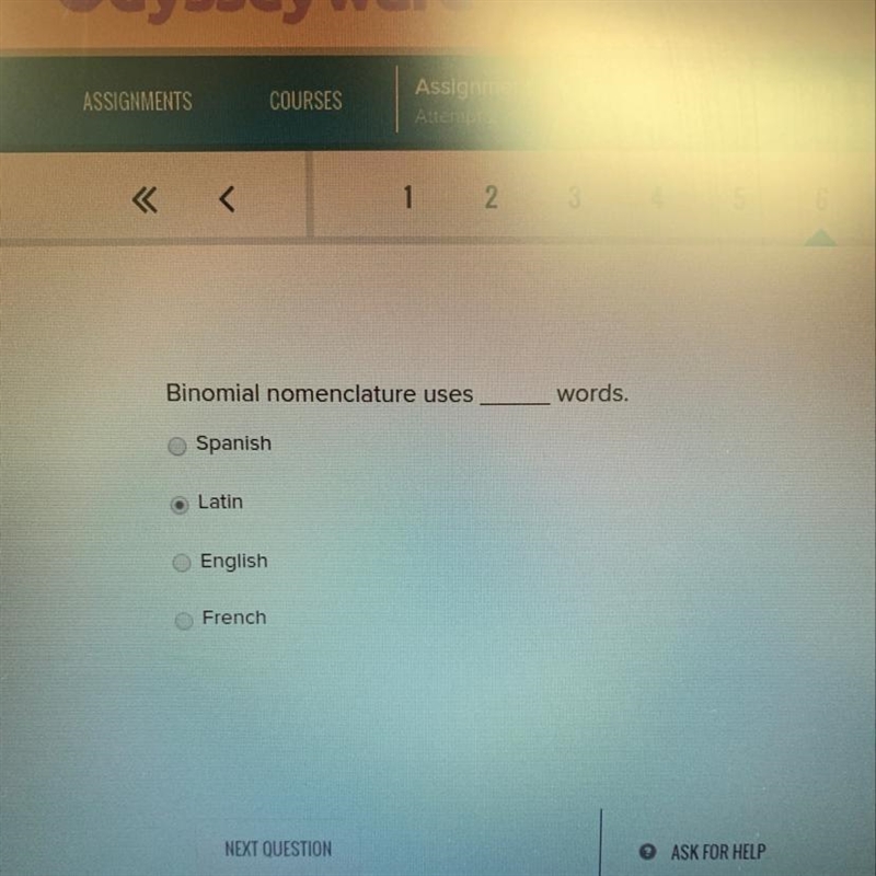 Binomial nomenclature uses____words.-example-1