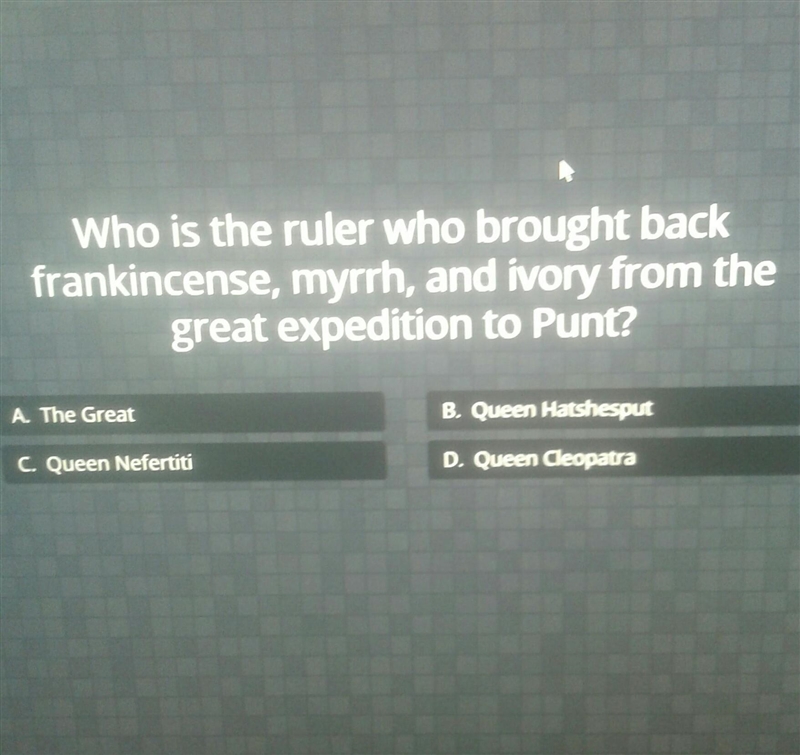 Who is the ruler who brought back frankincense, myrrh and ivory from the great expedition-example-1