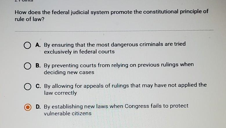 How does the federal judical system promote the constitutional principle of rule of-example-1