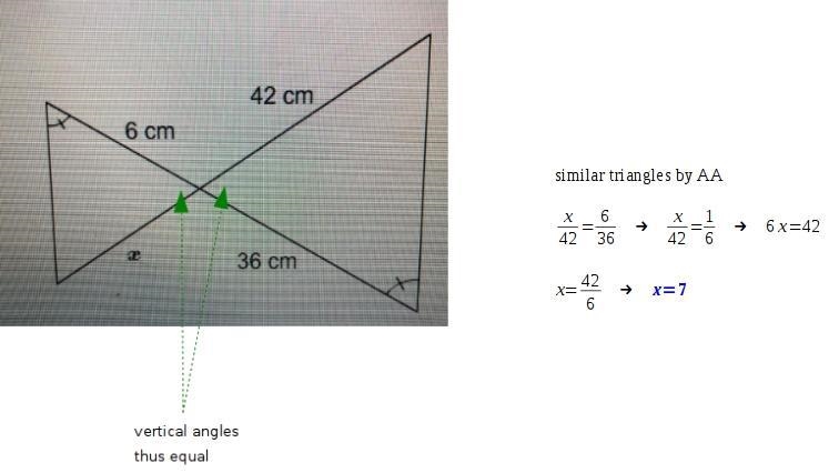 What is the value of x?-example-1