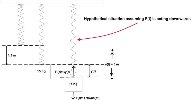 A 15 kilogram object is suspended from the end of a vertically hanging spring stretches-example-1