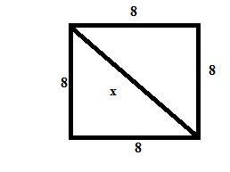 A crawling insect sits in a 8x8x8 room. It starts on the center of the floor of the-example-1