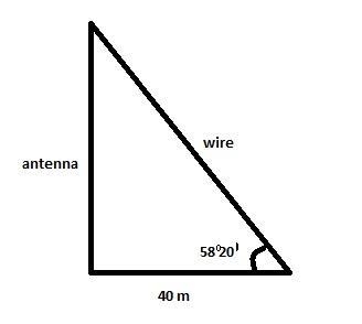 A guy wire is attached to the top of a radio antenna and to a point on horizontal-example-1