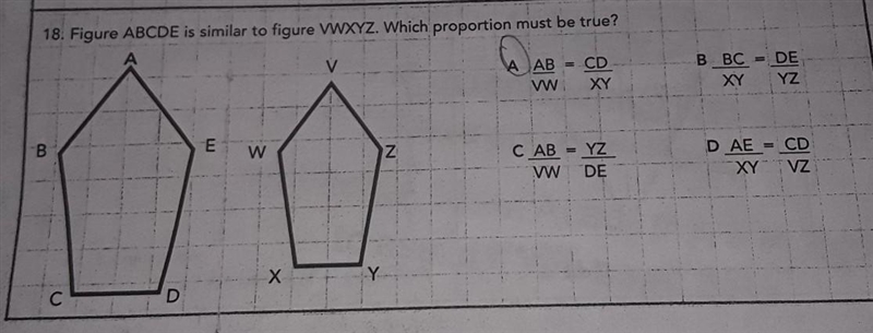 18. answer the question based on the information below ( im not sure if im right)​-example-1