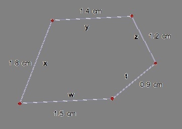 The actual length of side y is 22 cm. Use the scale drawing to find the actual length-example-1