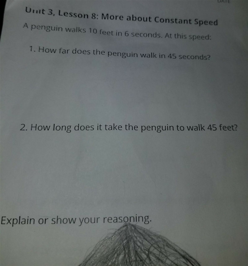 1.how far does the penguin walk in 45sec 2. How long does it take the penguin to walk-example-1