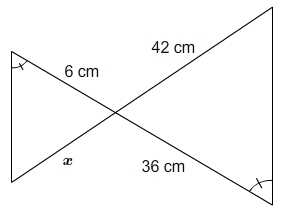 What is the value of x? Enter your answer in the box. x = __ cm-example-1