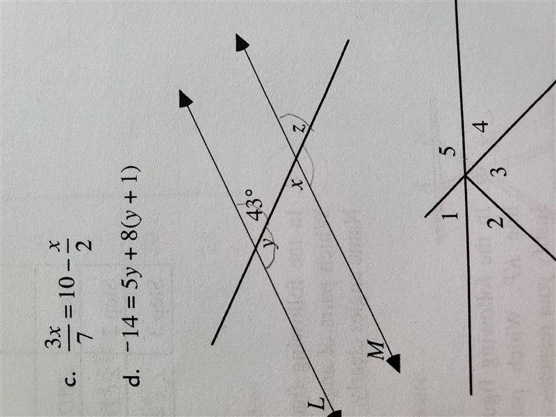 If lines L and M are parallel, find x, y, and z. Explain your reasoning.-example-1