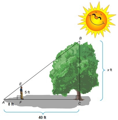 1. The diagram shows 5 ft student standing near a tree. The shadow of the student-example-1