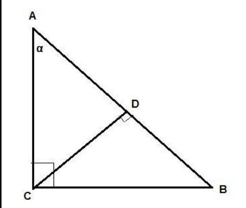 In triangle ΔABC, ∠C is a right angle and CD is the height to AB Find the angles in-example-1