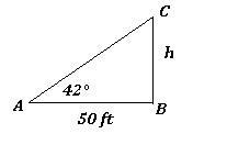 Haben knows that the angle of elevation from the top of a rock formation to a stake-example-1