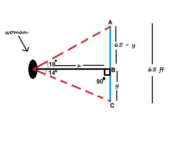 A woman standing on a hill sees a flagpole that she knows is 65 ft tall. The angle-example-1