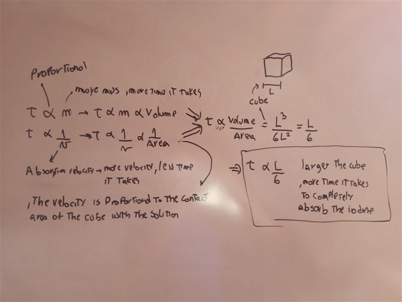 Two potato cubes (1 mm3 and 2 mm3) were placed in a solution of iodine. The absorption-example-1