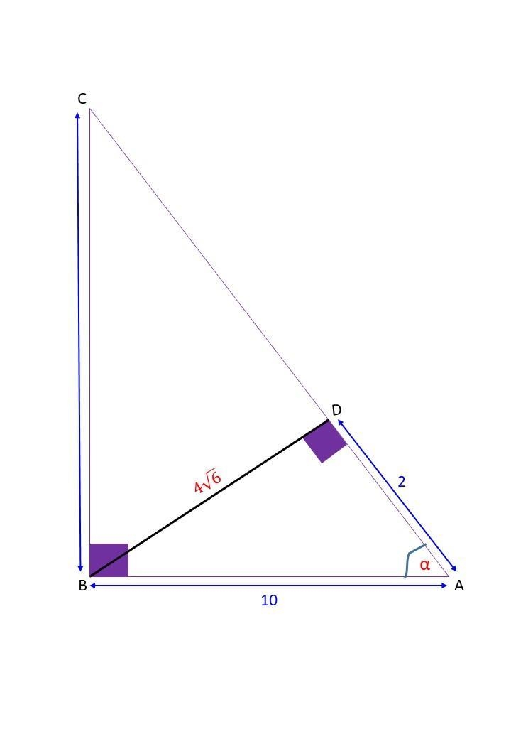 What is the length of side CD? (the answer is 48 but idk how to get there)-example-1