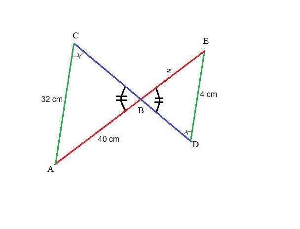 What is the value of x? Enter your answer in the box. x = cm-example-1