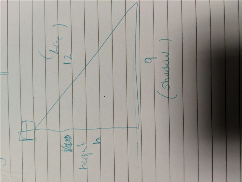 A kite flying in the air has a 12 line attached to it. Its line is pulled taut and-example-1