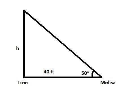 Melissa is standing 40 ft from a tree. The angle of elevation from where she is standing-example-1