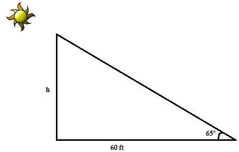 A tower casts a shadow that is 60 feet long when the angle of elevation of the sun-example-1