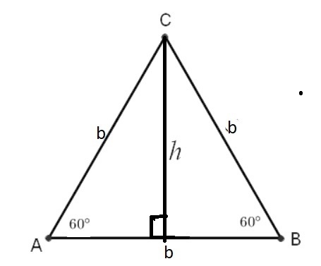 An equilateral triangle has sides of length 20. to the nearest tenth, what is the-example-1