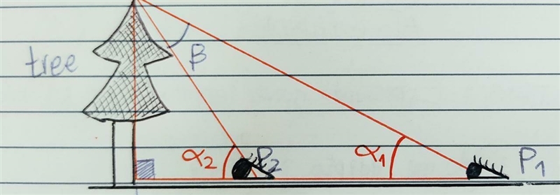 True or False (50 POINTS!!!) 1. The angle of elevation would increase from the top-example-2