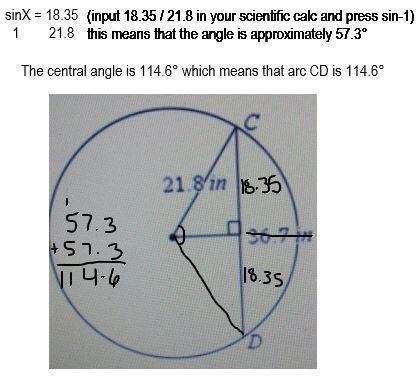 Find the measure of CD. Round to the nearest tenth.​-example-1