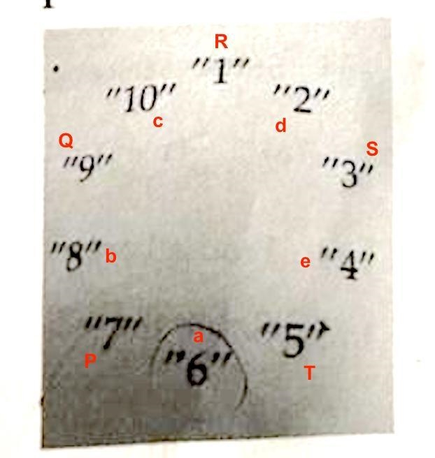 Can someone solve with a system of equations and show work?-example-1