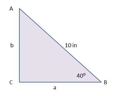 Which equation can be used to find the length of Line segment A C? Triangle A B C-example-1