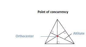 The point of concurrency of the altitudes of a triangle is called the-example-1