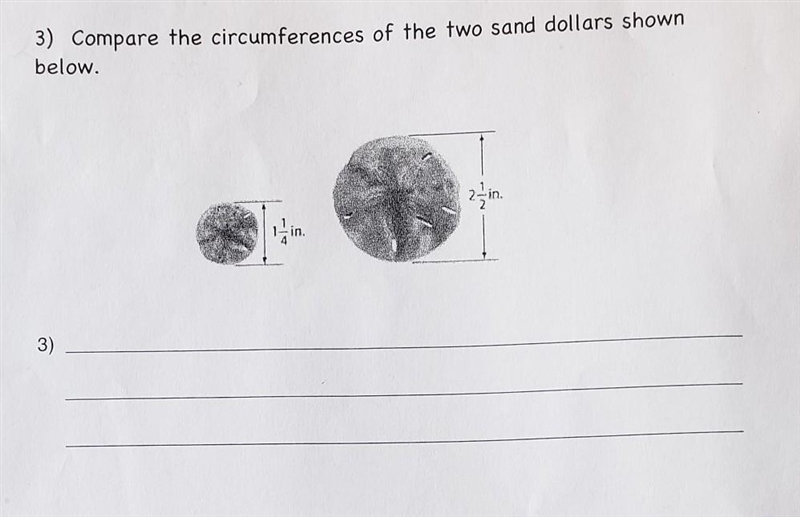 This question is hard for me. help me plz​-example-1